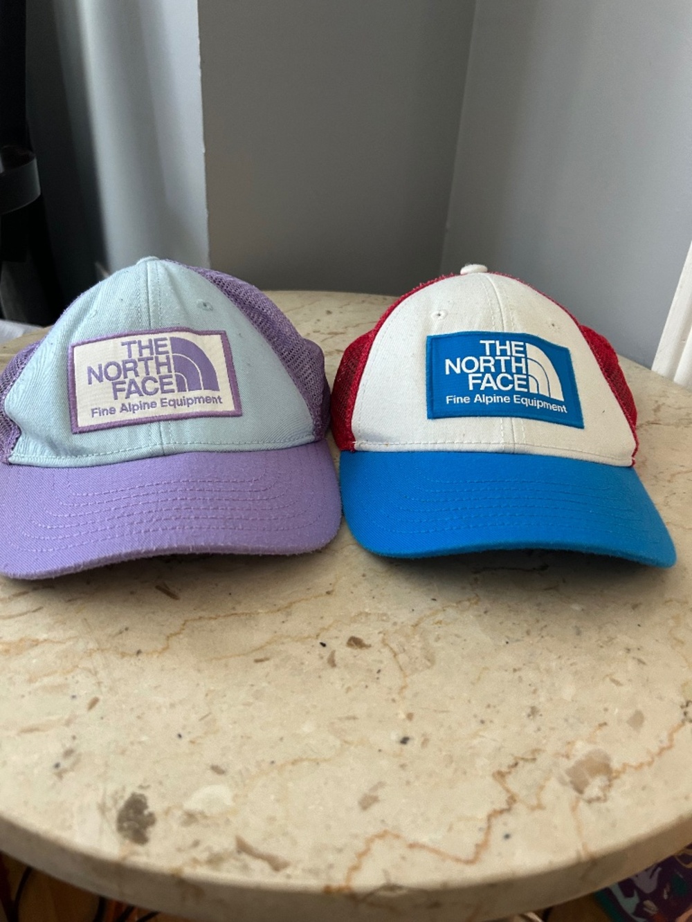 The North Face Fine Alpine Equipment Trucker Hats - Set of 2